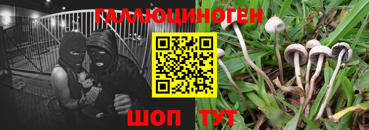 Галлюциногенные грибы ЛСД Вичуга