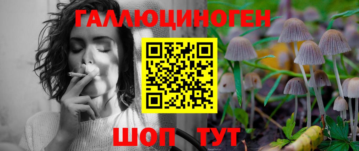Галлюциногенные грибы Magic Shrooms  Вход с VPN  Вичуга 